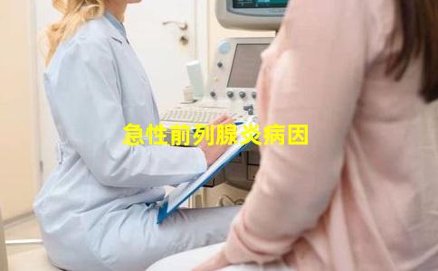 急性前列腺炎病因