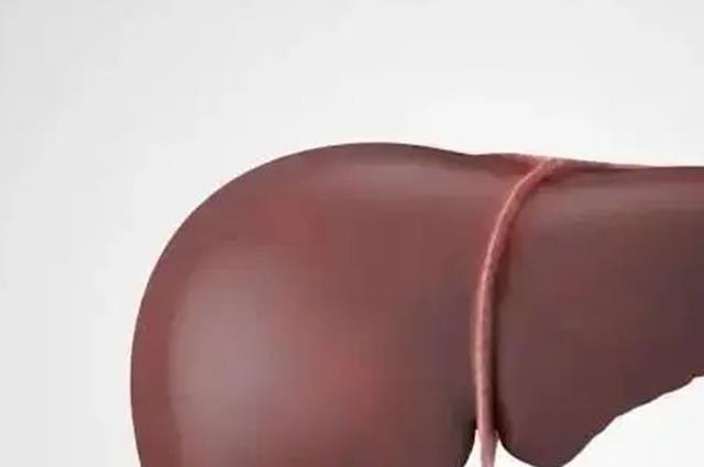 健康科普：女人养肝护肝的六个妙方，让你肝脏越来越健康