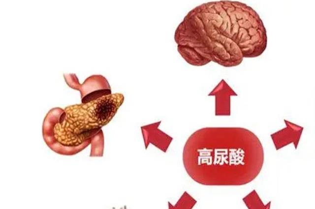 七种碱性水果降尿酸，总有一款水果适合你