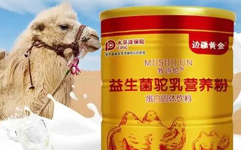 什么牌子的骆驼奶粉是正宗的？正宗骆驼奶粉推荐？