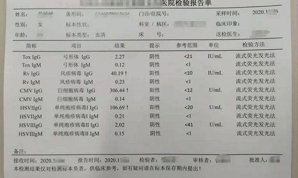 torch检查